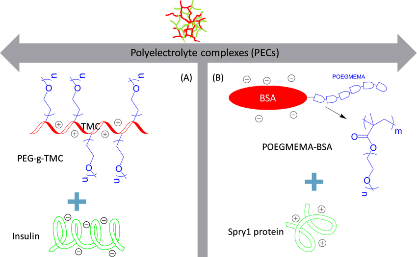 Exploring Polyelectrolyte Complexes (PECs) Behavior using the SSAGES Software Suite